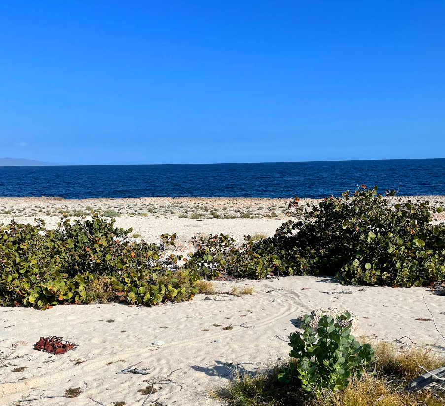 Cayo Moa Grande