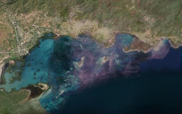 Cayo Pájaro