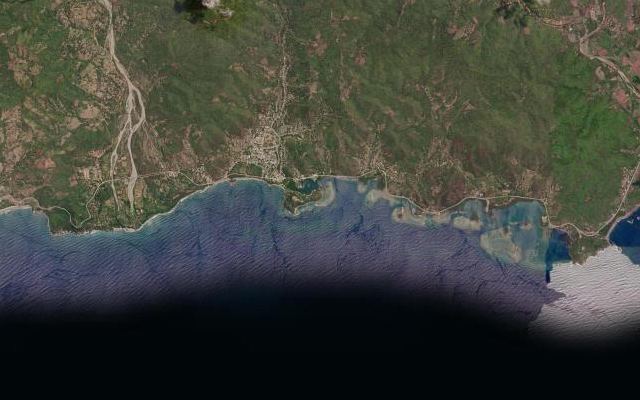 Cayo Damas