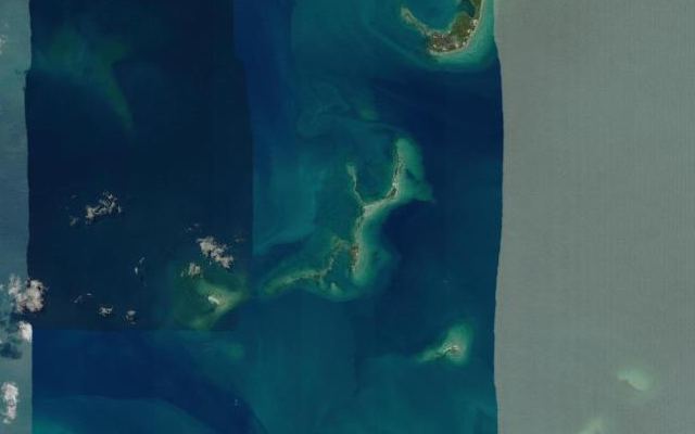 Cayo Ronquito