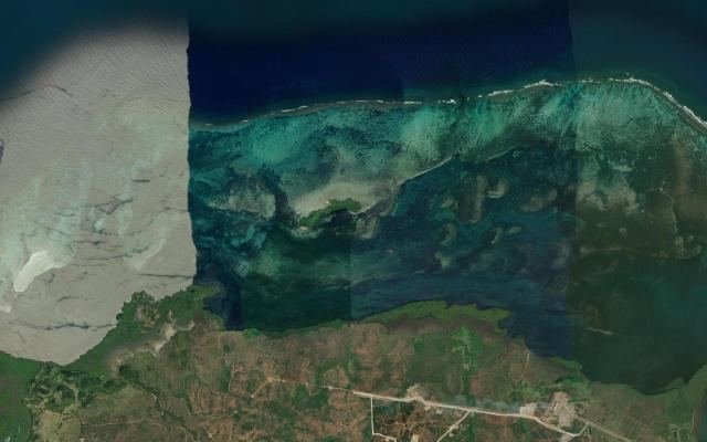 Cayo Burro