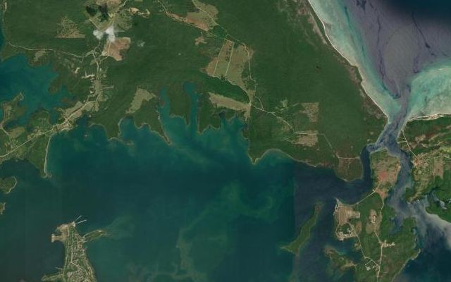 Cayo Pájaros