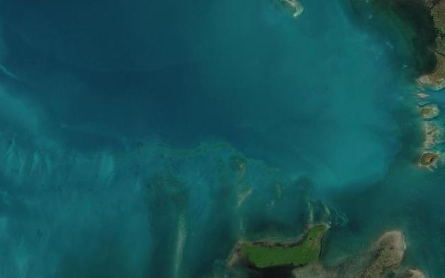 Cayo Antón