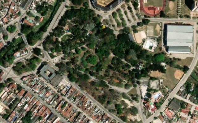 Ceiba de La República