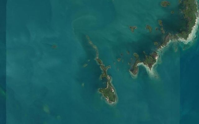 Cayo Pájaro