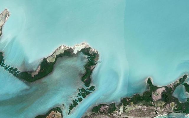 Cayo Palma