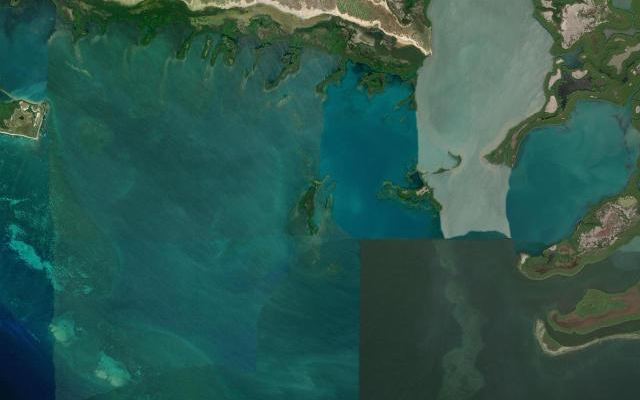 Cayo Guayo