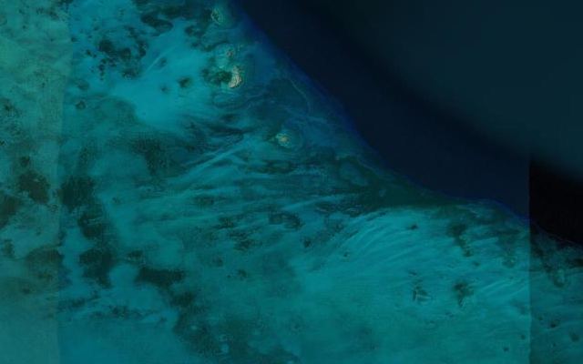 Cayo Sigua