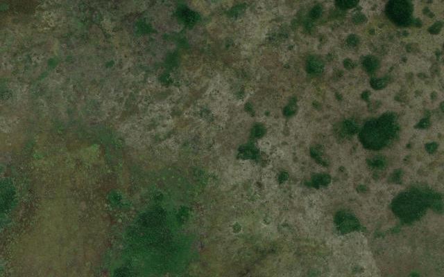 Zapata Swamp National Park