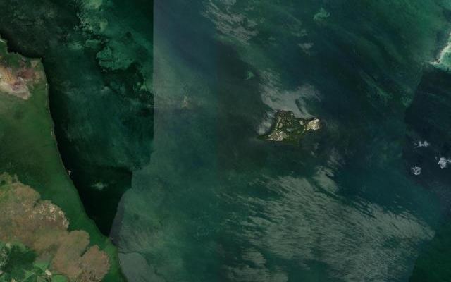 Cayo Guayo