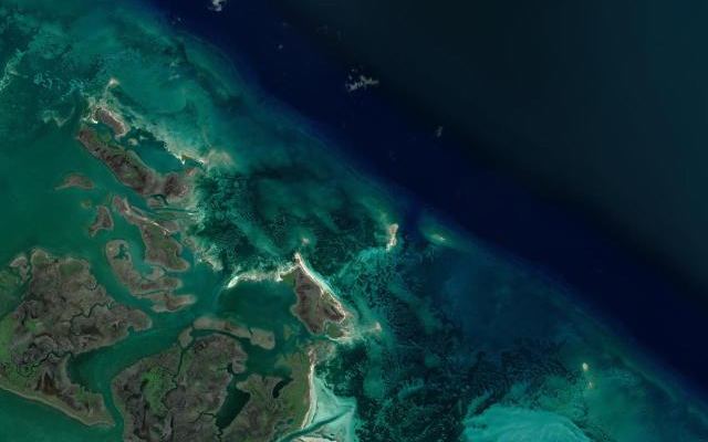 Cayo Dutton