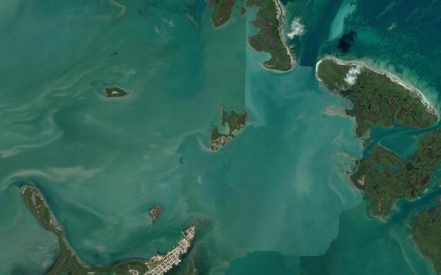 Cayo Paloma