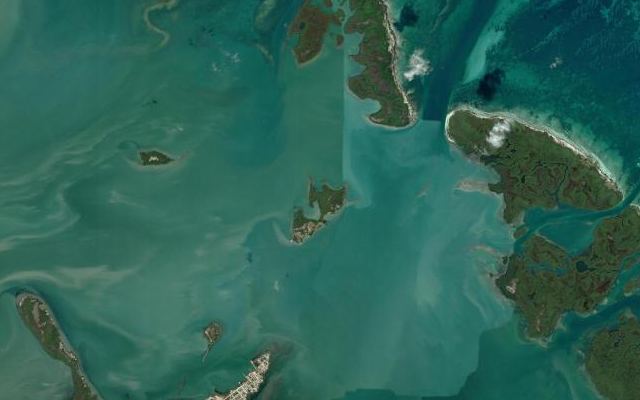 Cayo Palomo