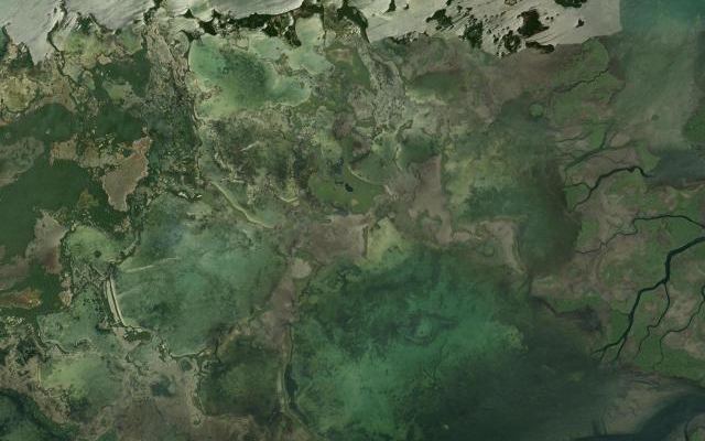 Cayo la Chiva