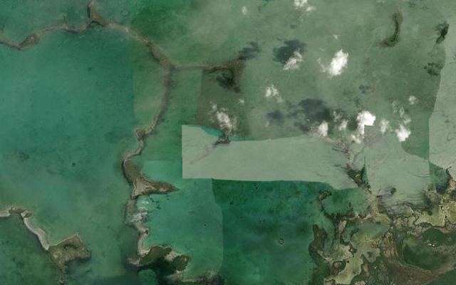 Cayo Gallina