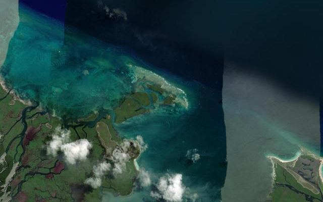 Cayo Arbolito