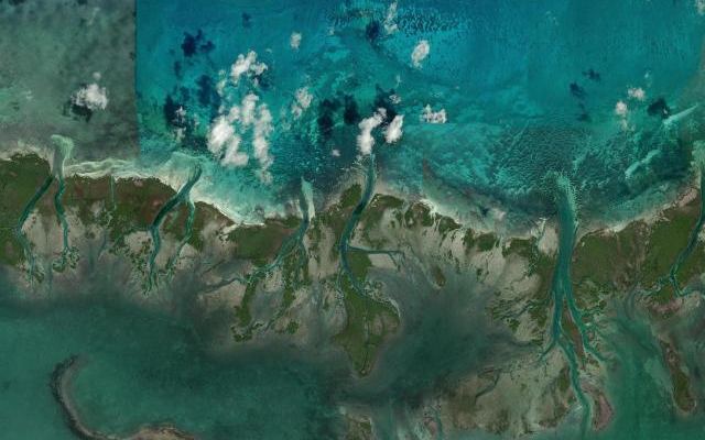 Cayo Ranas