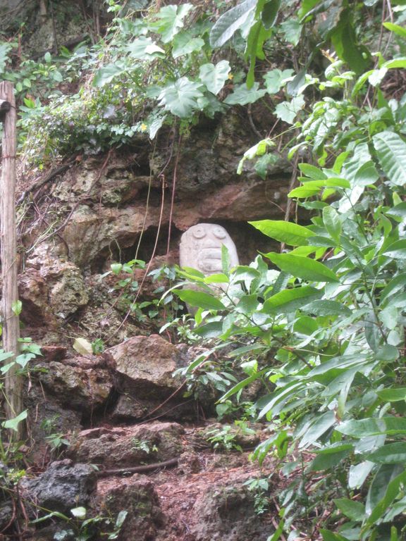 Museo Arqueológico La Cueva del Paraiso