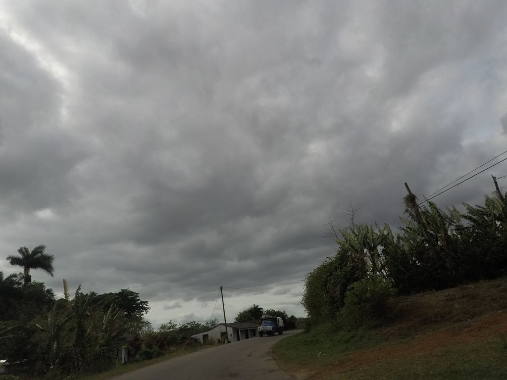 Paseos a caballo en Viñales
