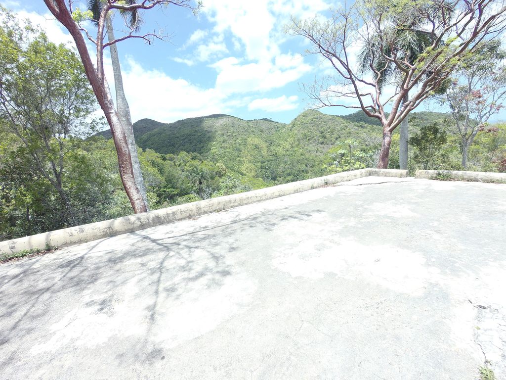 Cafetal Buena Vista