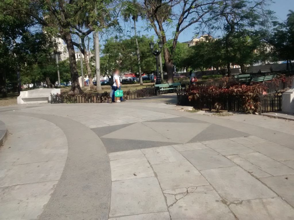 Árbol de la Fraternidad Americana