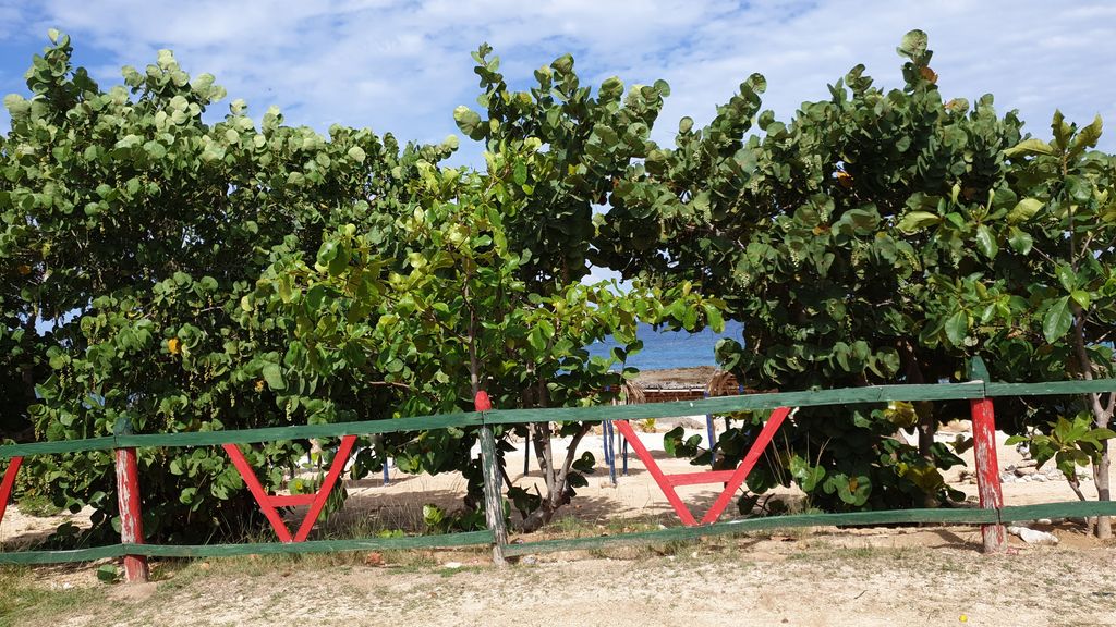 La Batea Snorkeling Center
